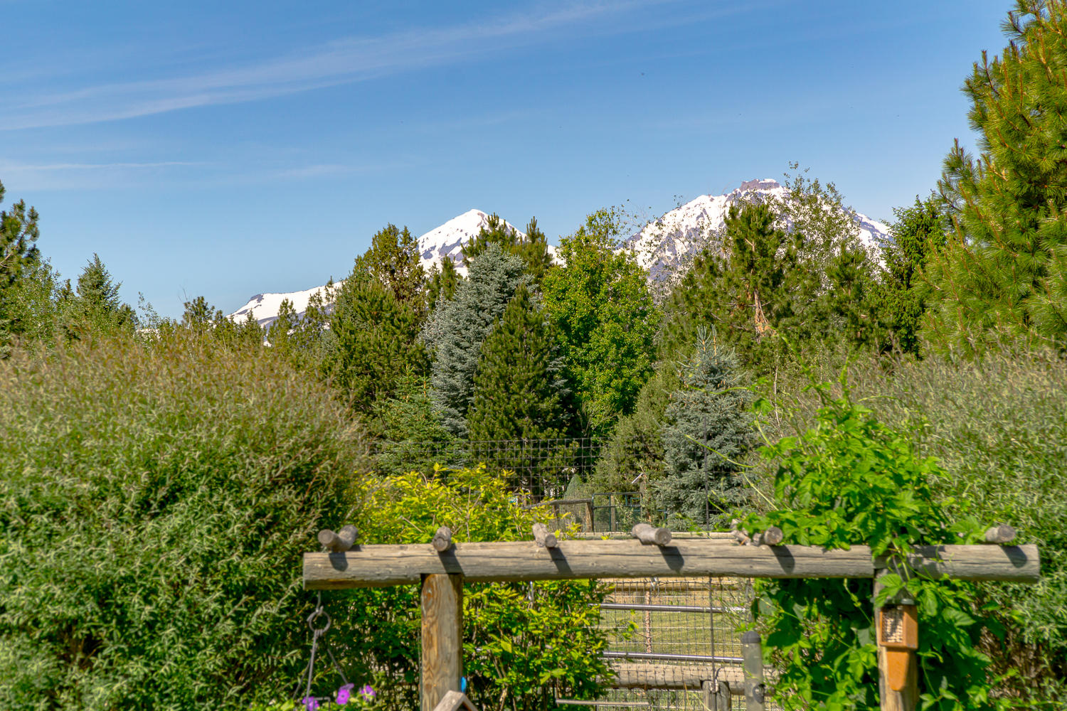 Ponderosa Cascade - Residential