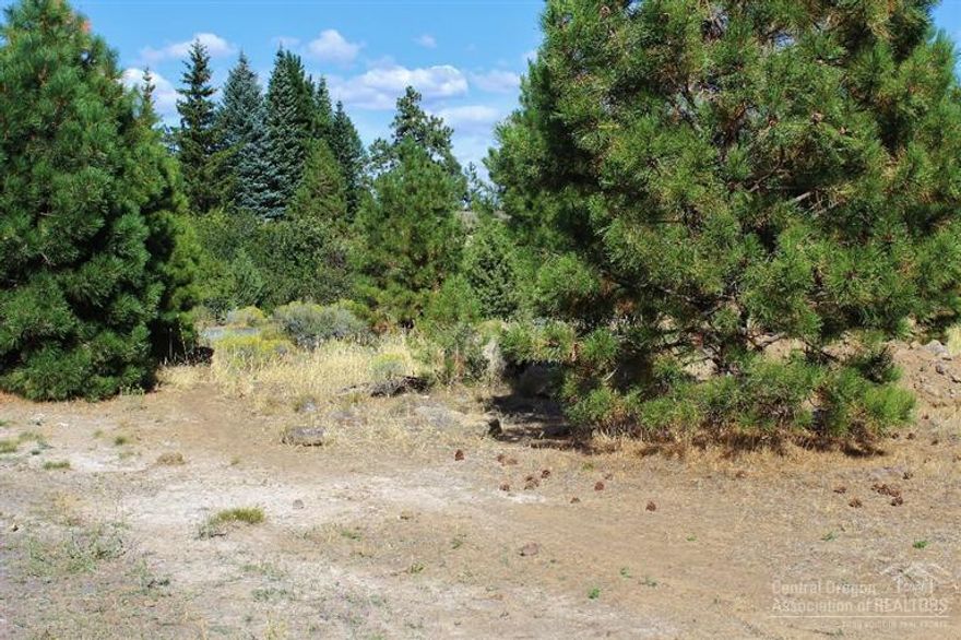Very large lot with lots of pine trees, possibility of future split when sewer gets to lot.