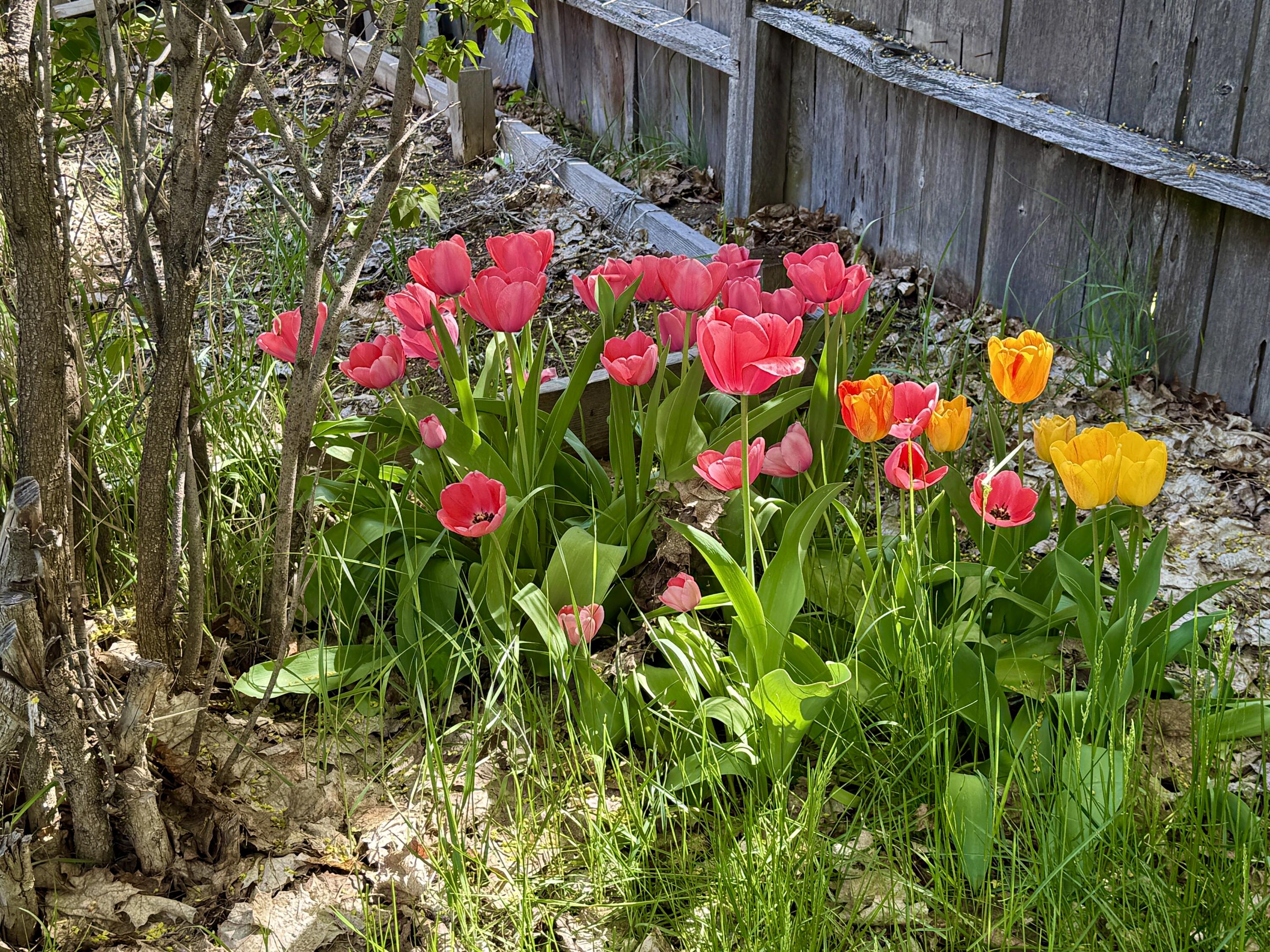 Klamath Falls -Hot Springs Addition - Residential