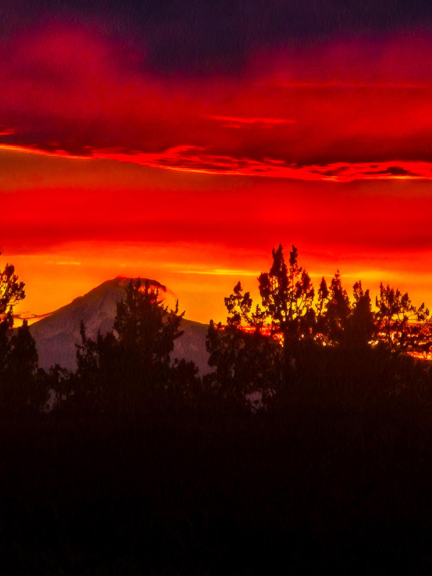 3660 SW Parrish Lane