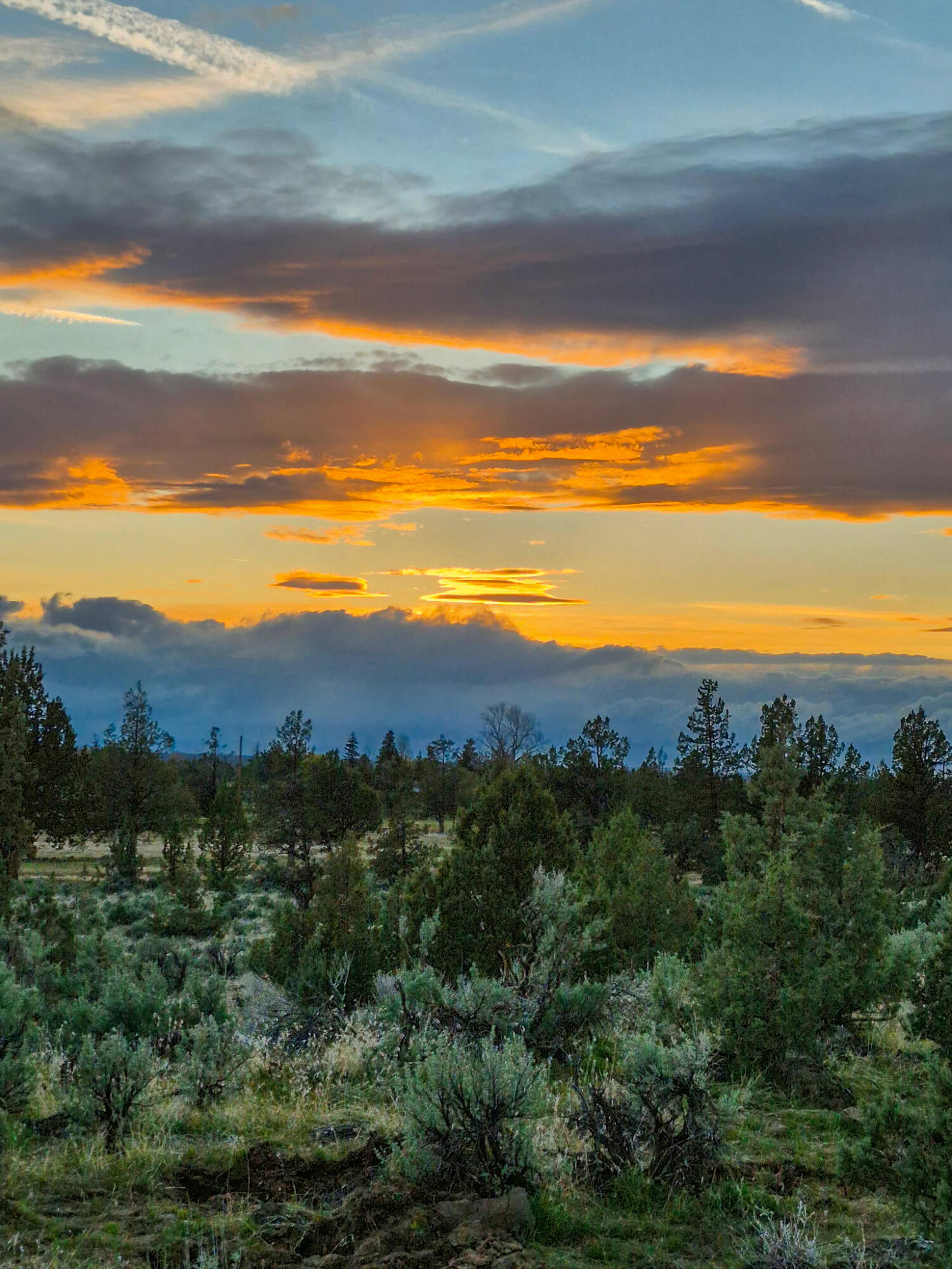 3660 SW Parrish Lane