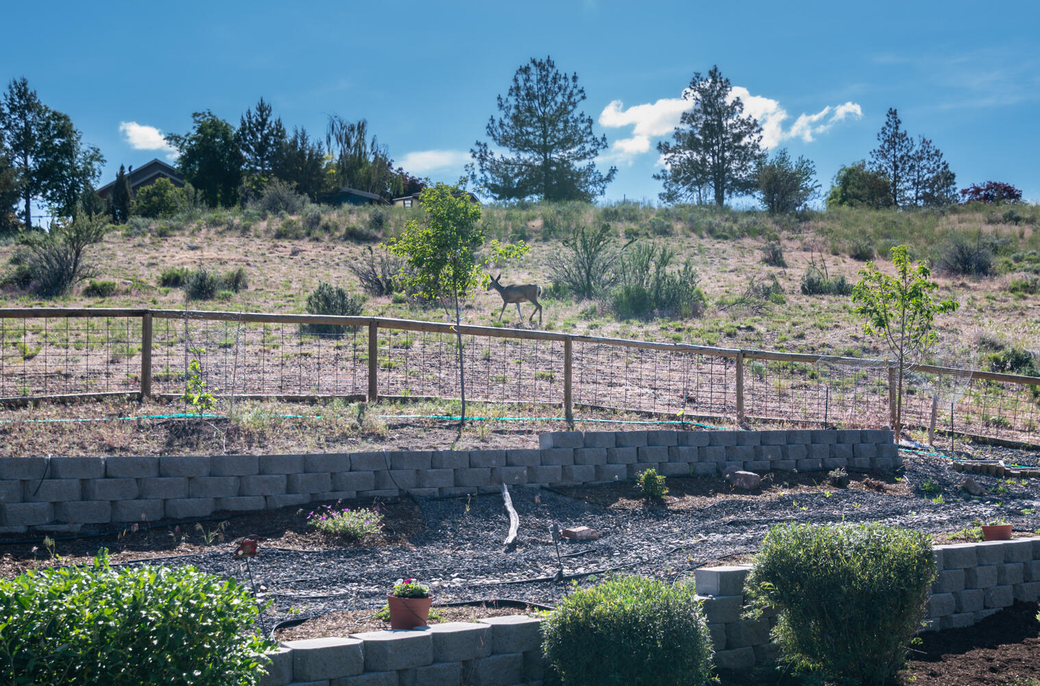 Bitterbrush Estates - Residential
