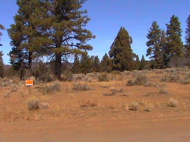 Sprague River - Land