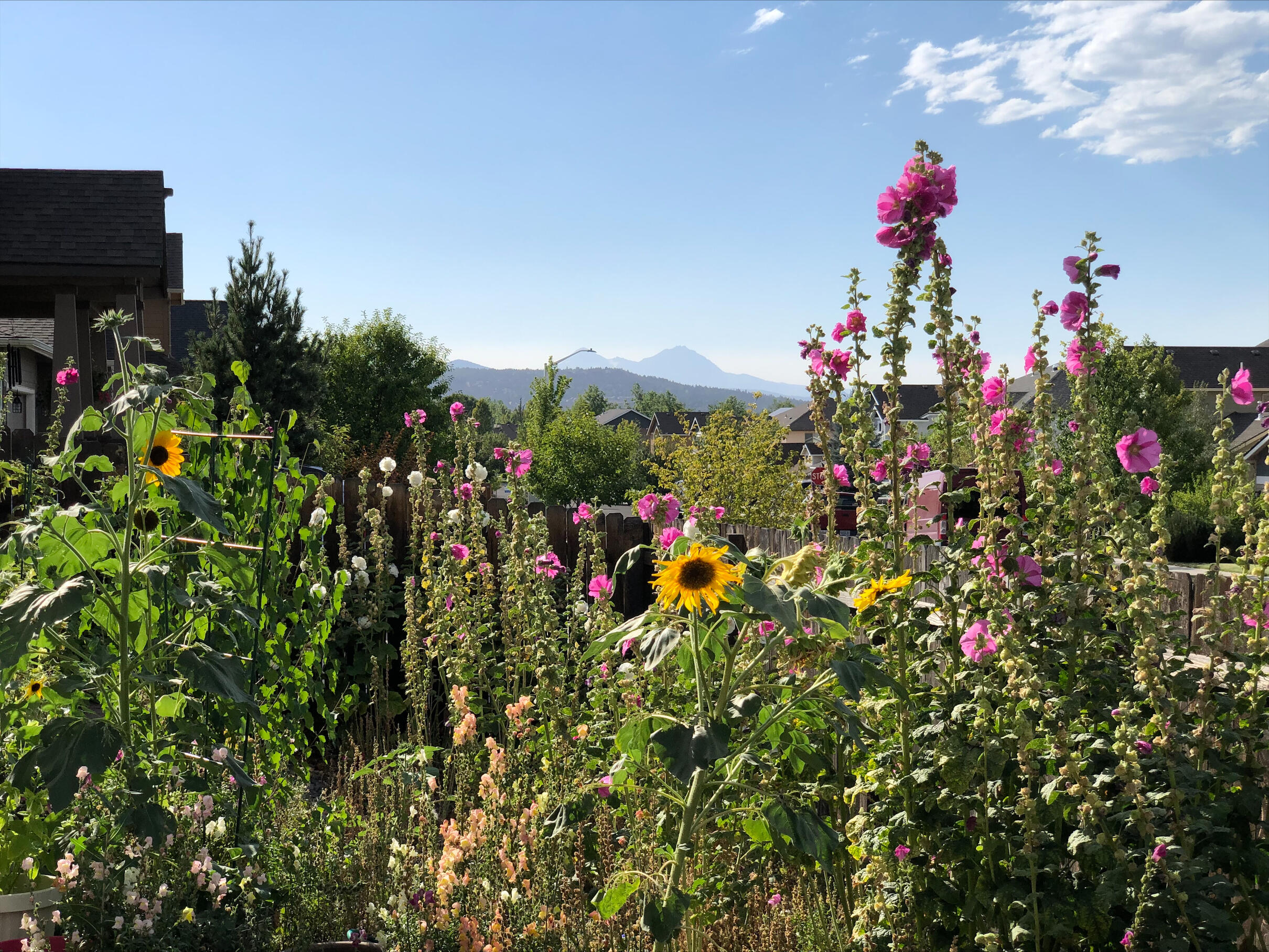 Eagle's Landing - Residential