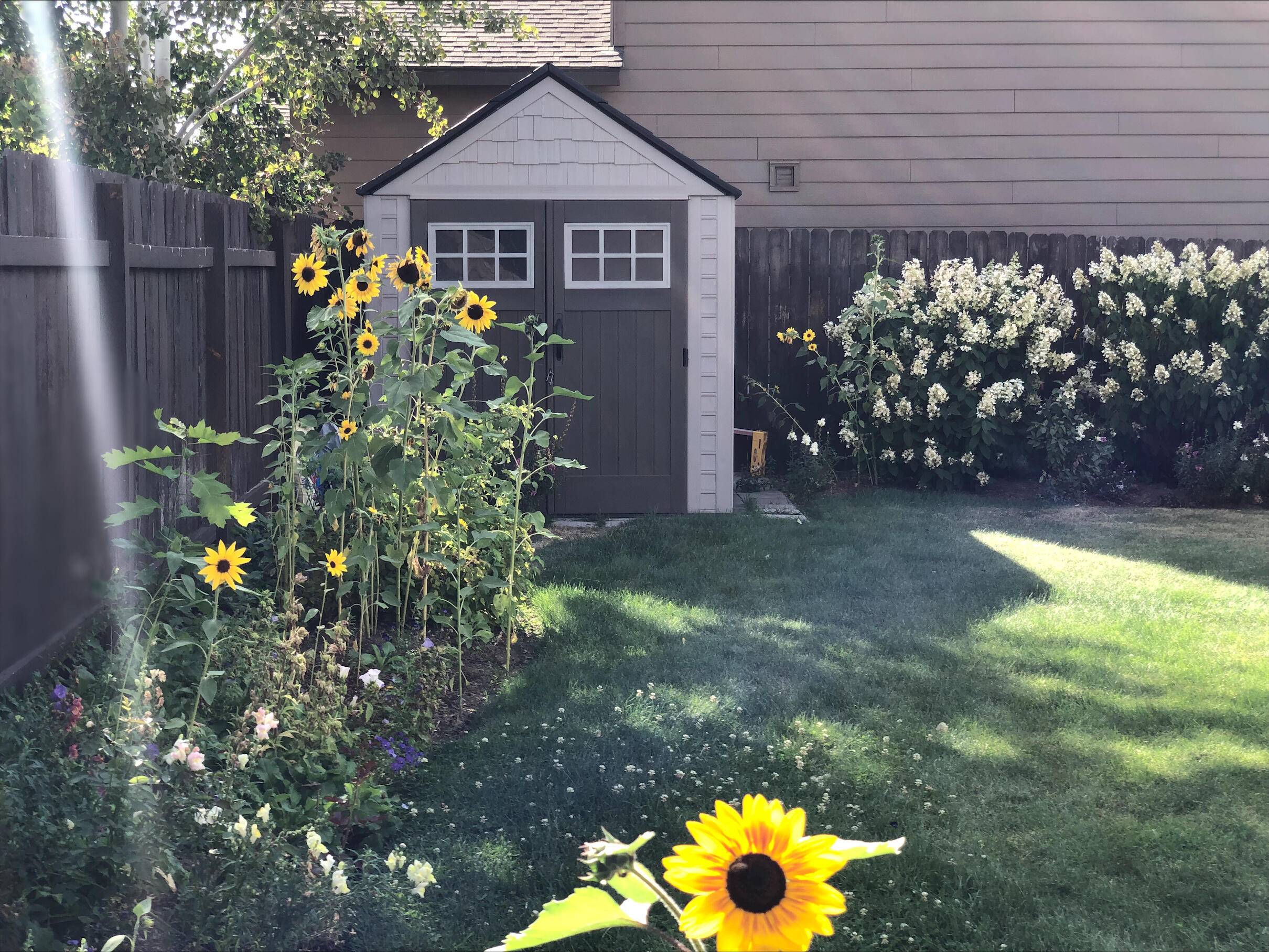 Eagle's Landing - Residential