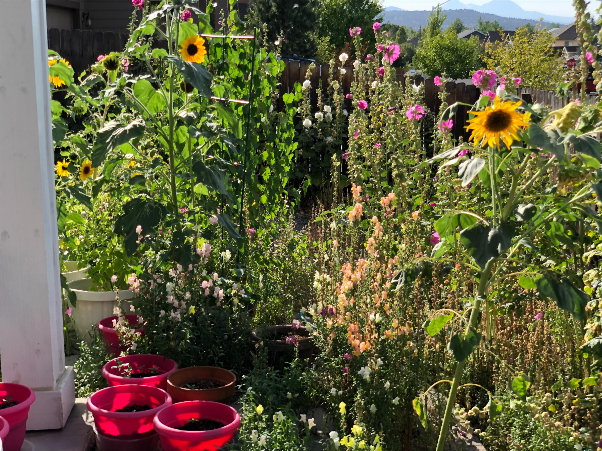 Eagle's Landing - Residential