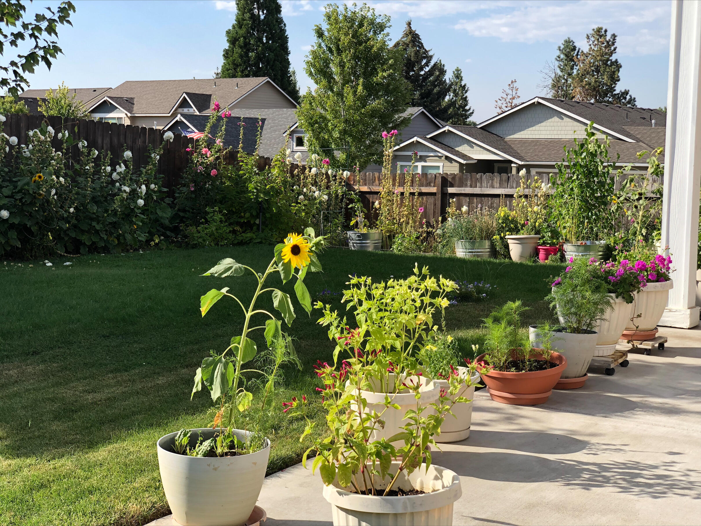 Eagle's Landing - Residential