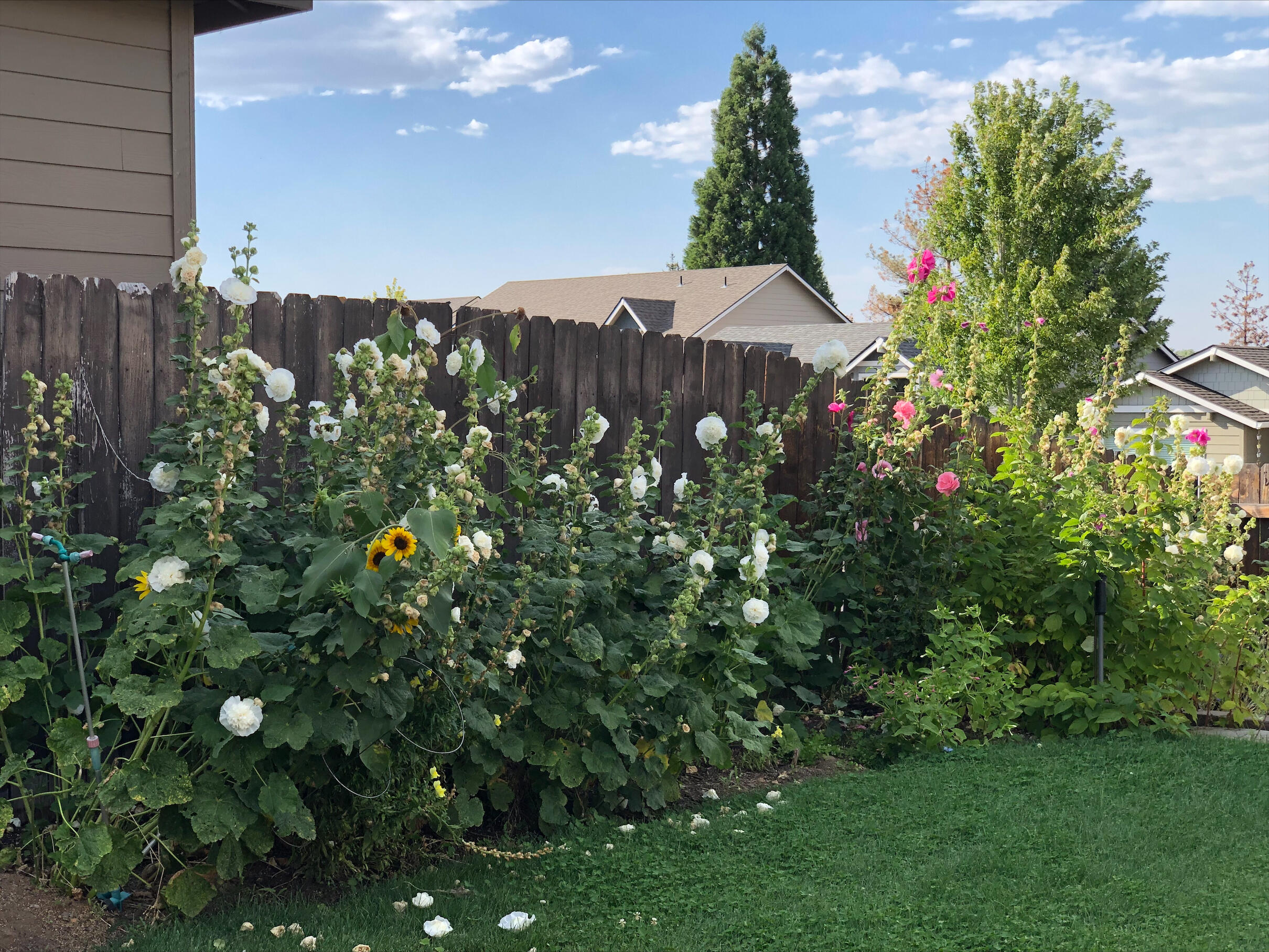 Eagle's Landing - Residential