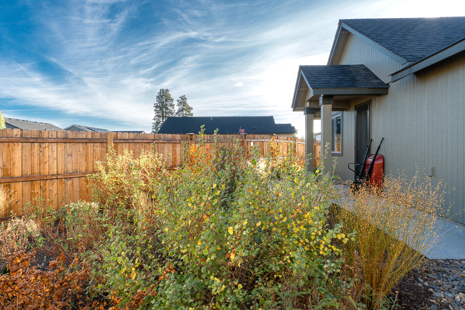 Pettigrew Place - Residential