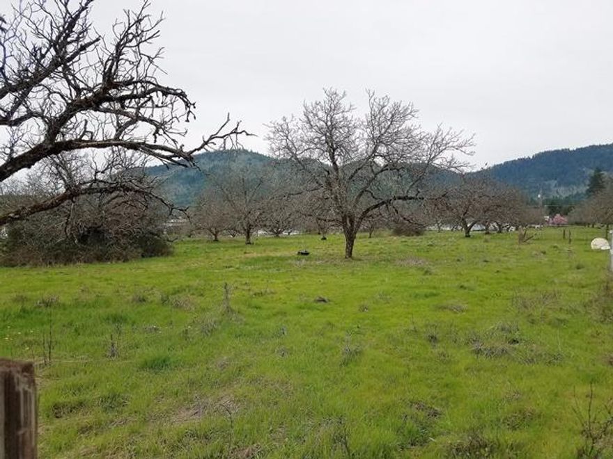 Nice level 2.75 acres in the country, but not far from town and close to Cathedral Hills riding trails. This old walnut orchard still has many trees left on it. Beautiful views of the mountains, this would make a lovely home site, with room to roam. Bring your builder, plans & imagination!