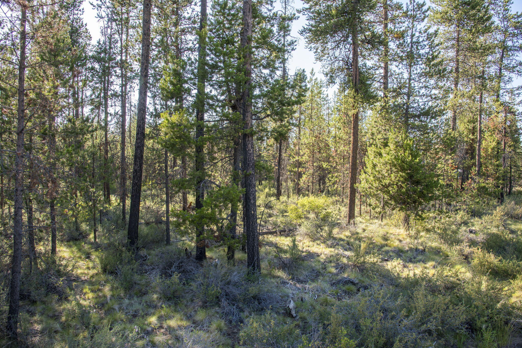 Lazy River West - Land