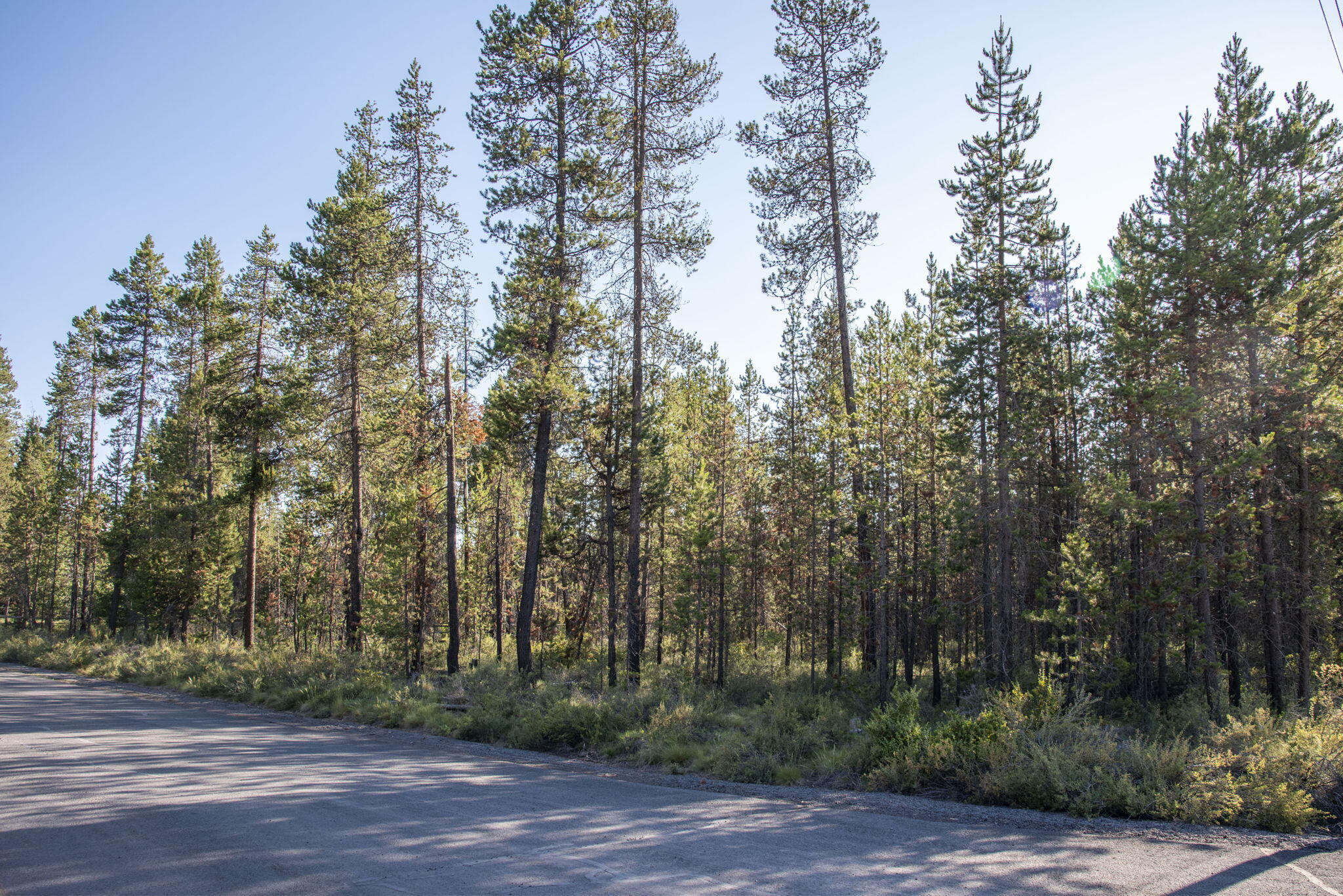 Lazy River West - Land