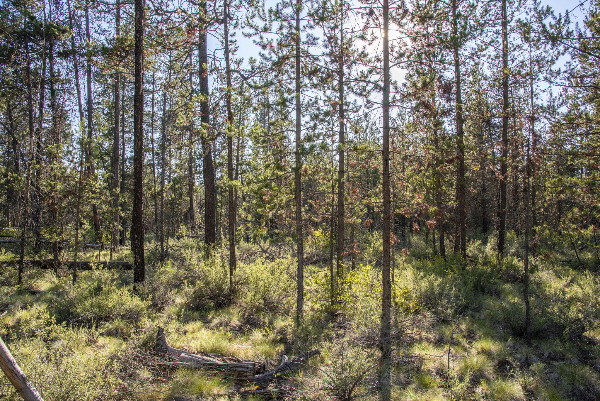 Lazy River West - Land