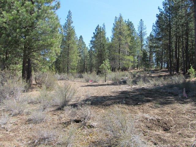 Sprague River Pines - Land