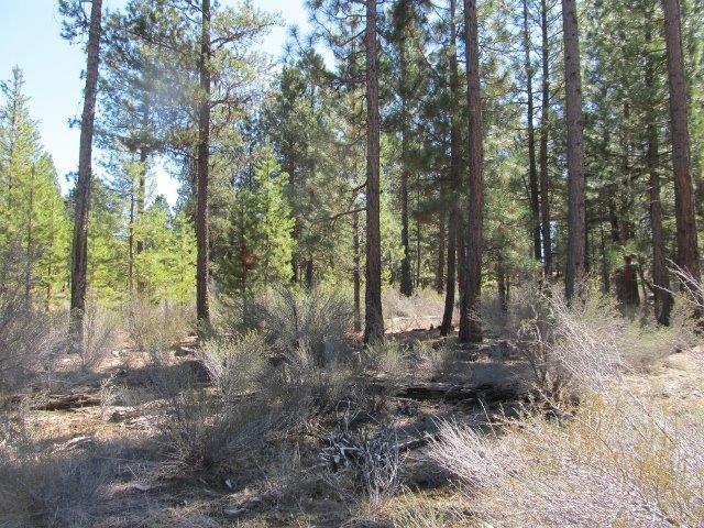 Sprague River Pines - Land
