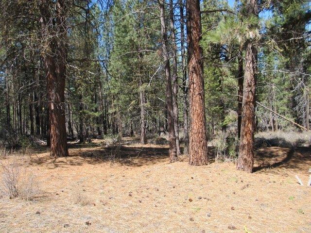 Sprague River Pines - Land