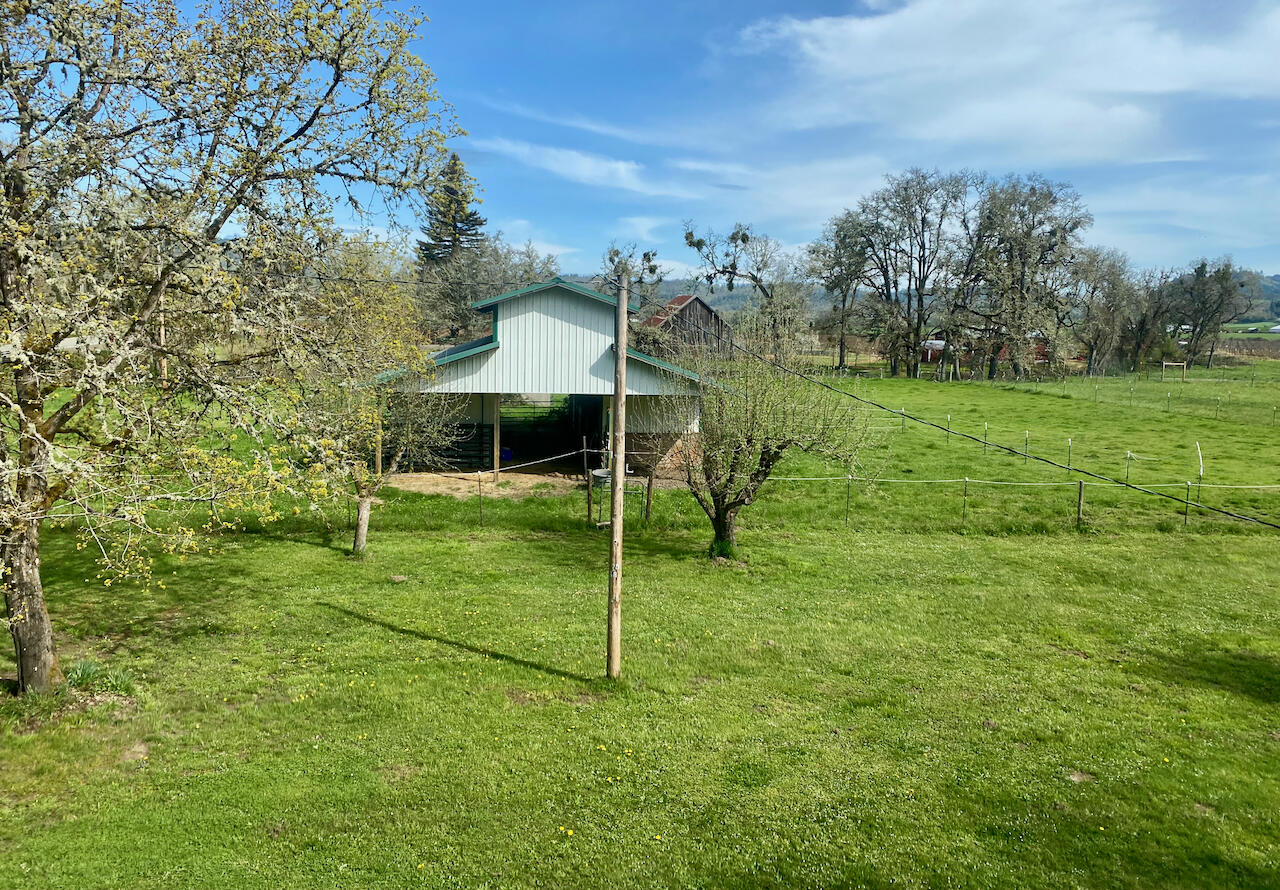 Looking Glass - Farm