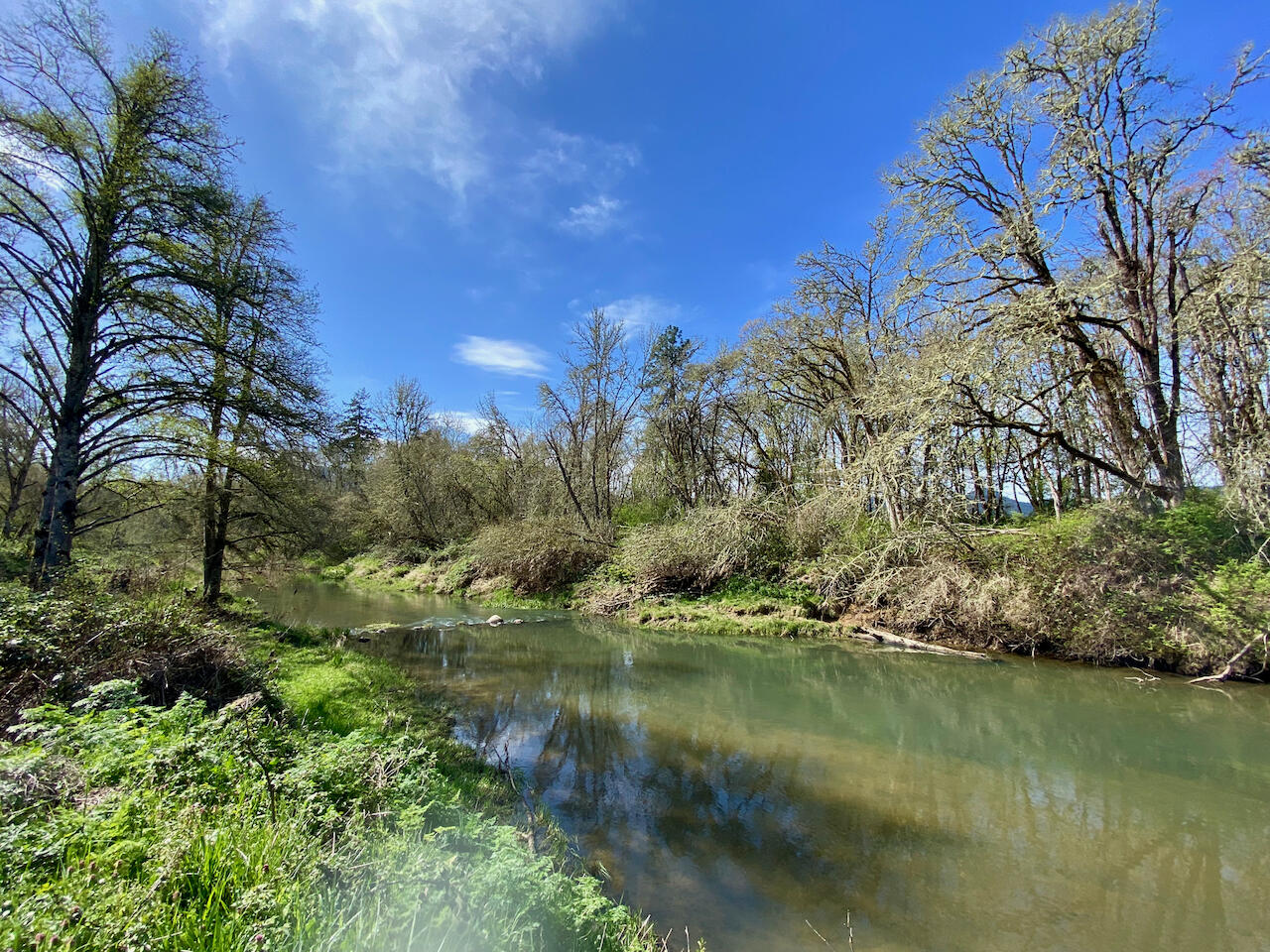 Looking Glass - Farm