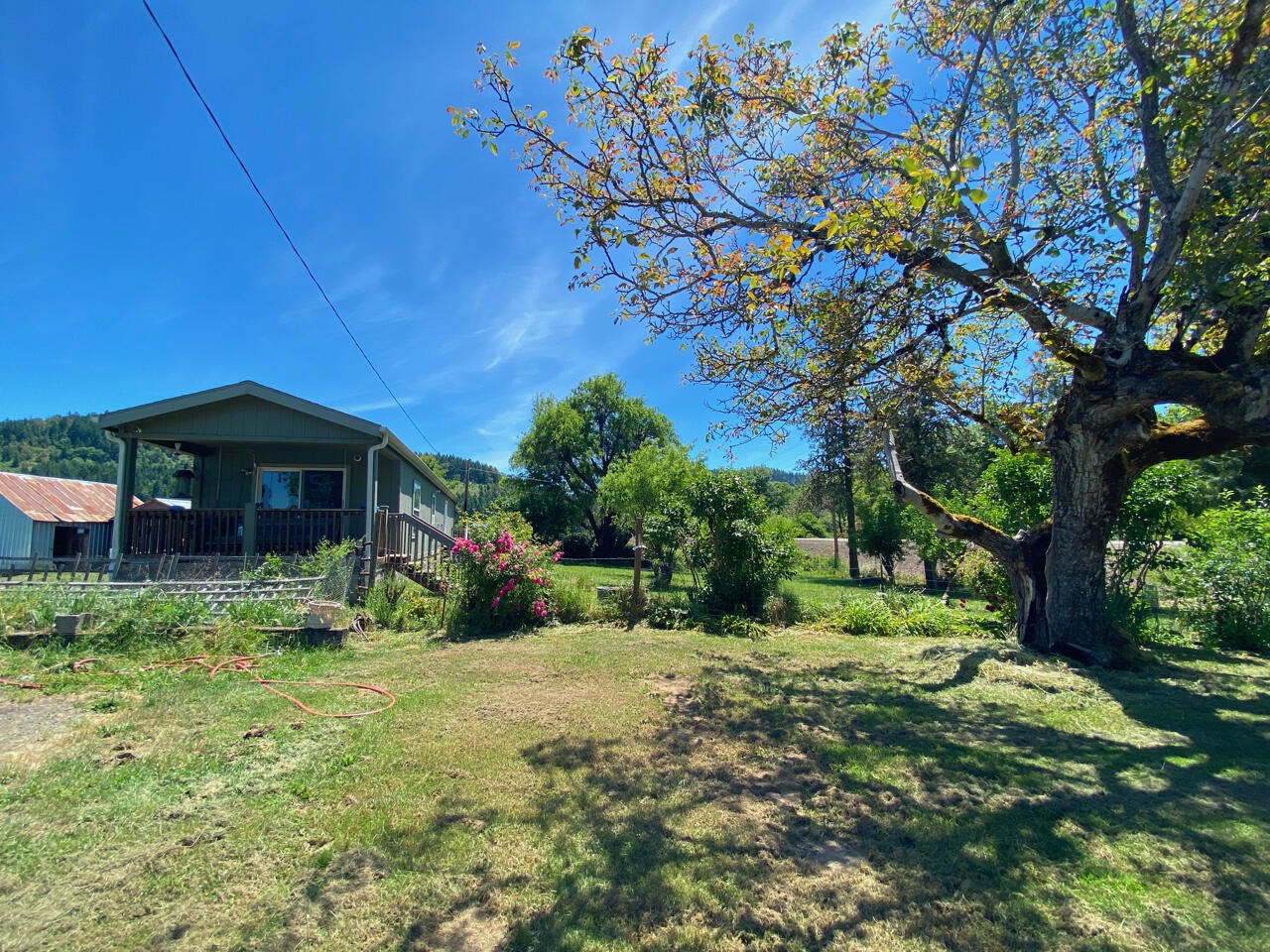 Looking Glass - Farm