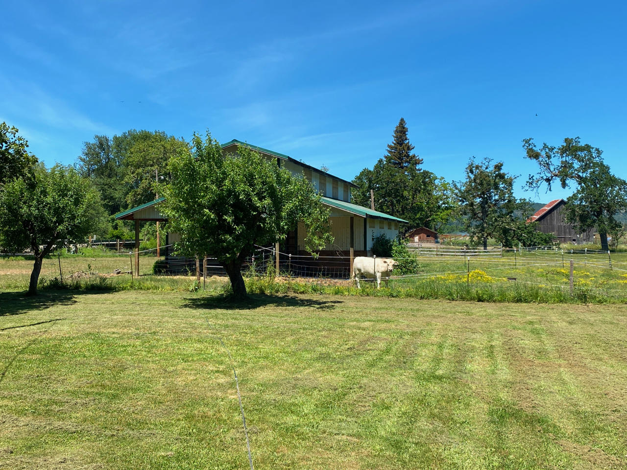 Looking Glass - Farm