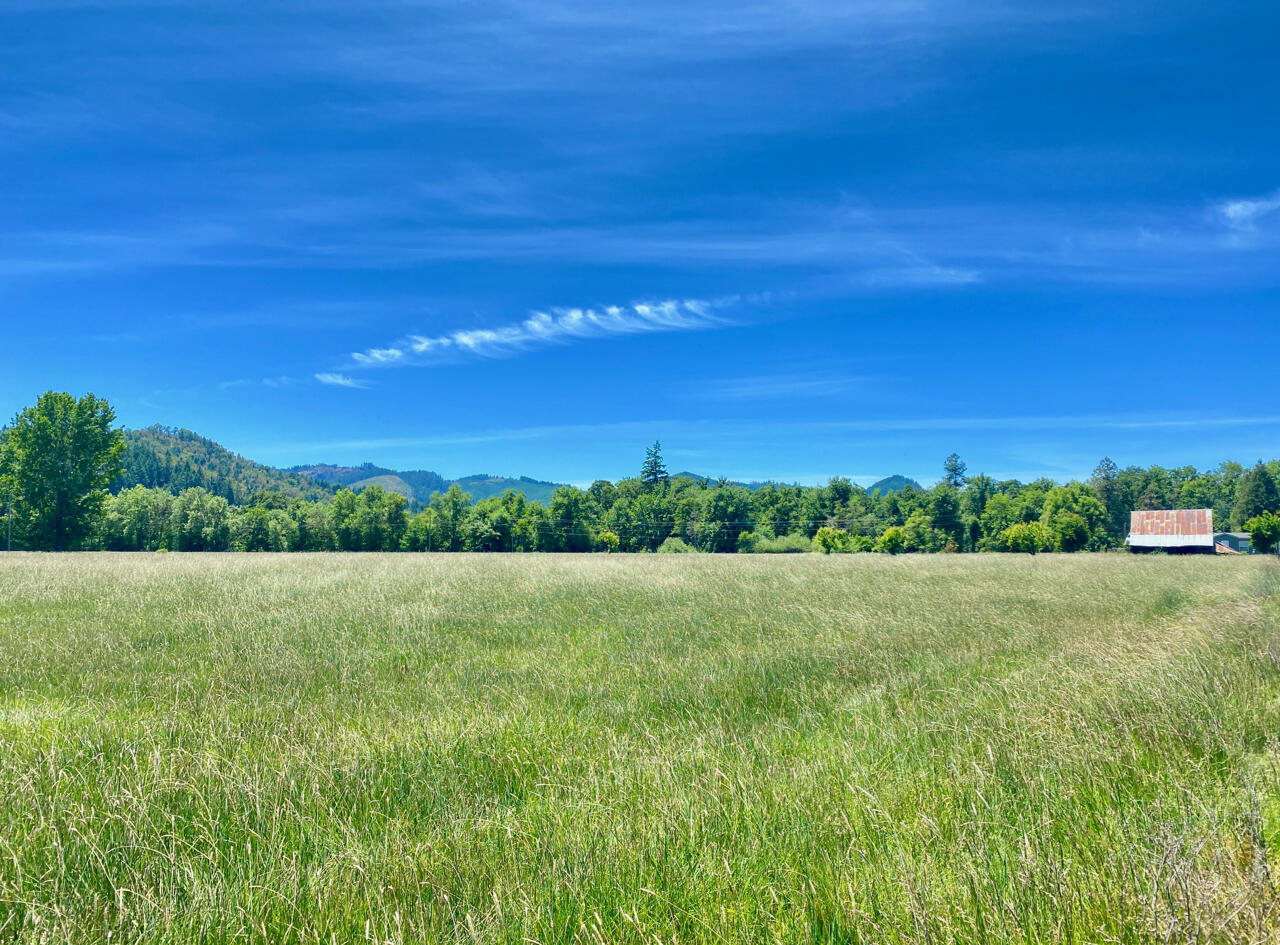 Looking Glass - Farm