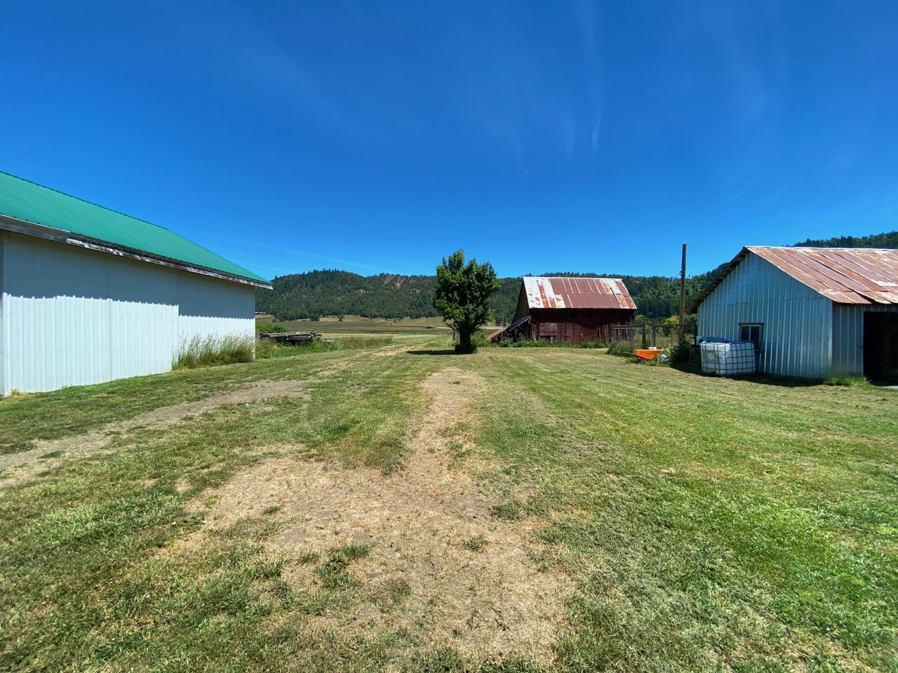 Looking Glass - Farm