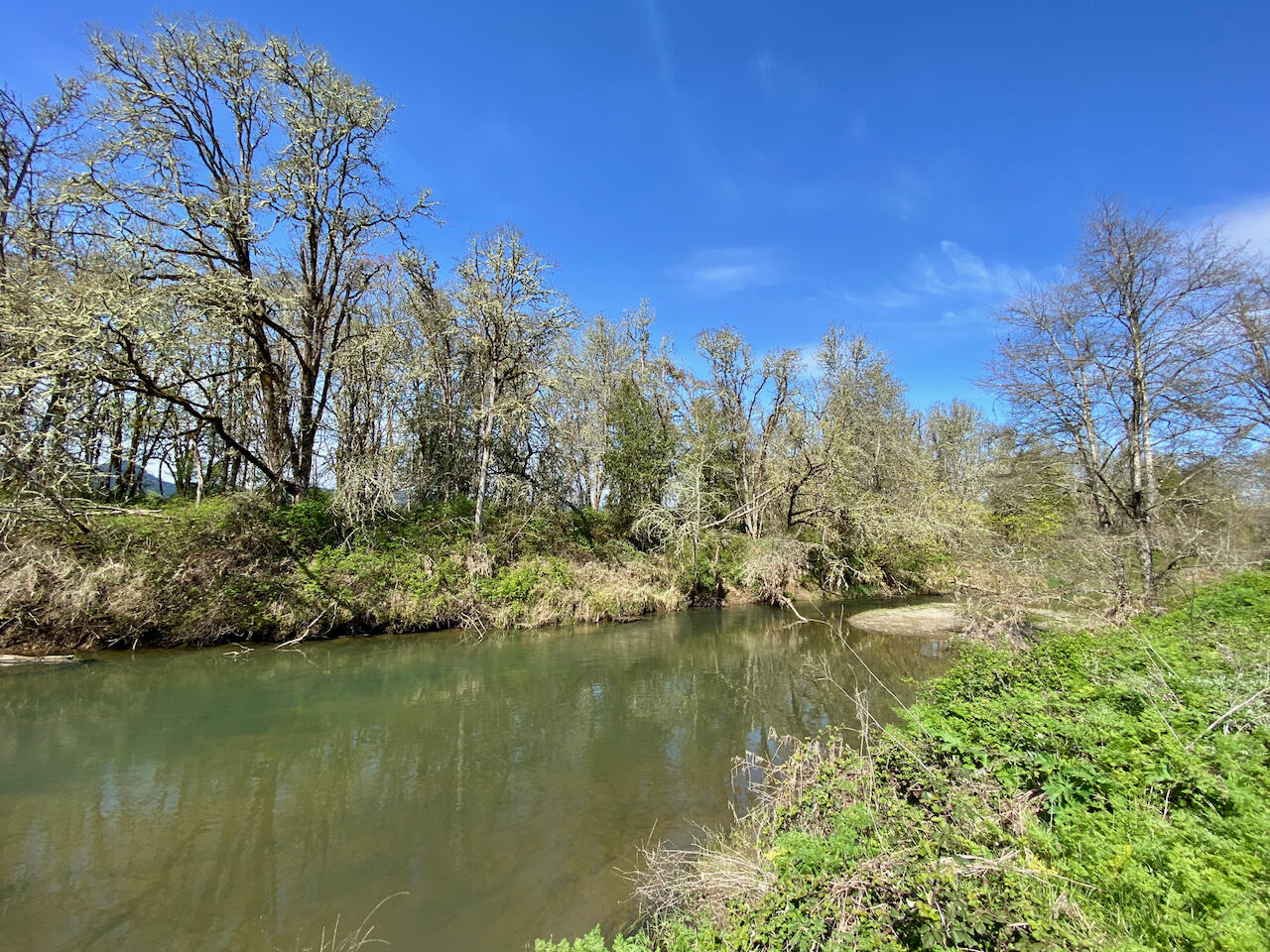 Looking Glass - Farm