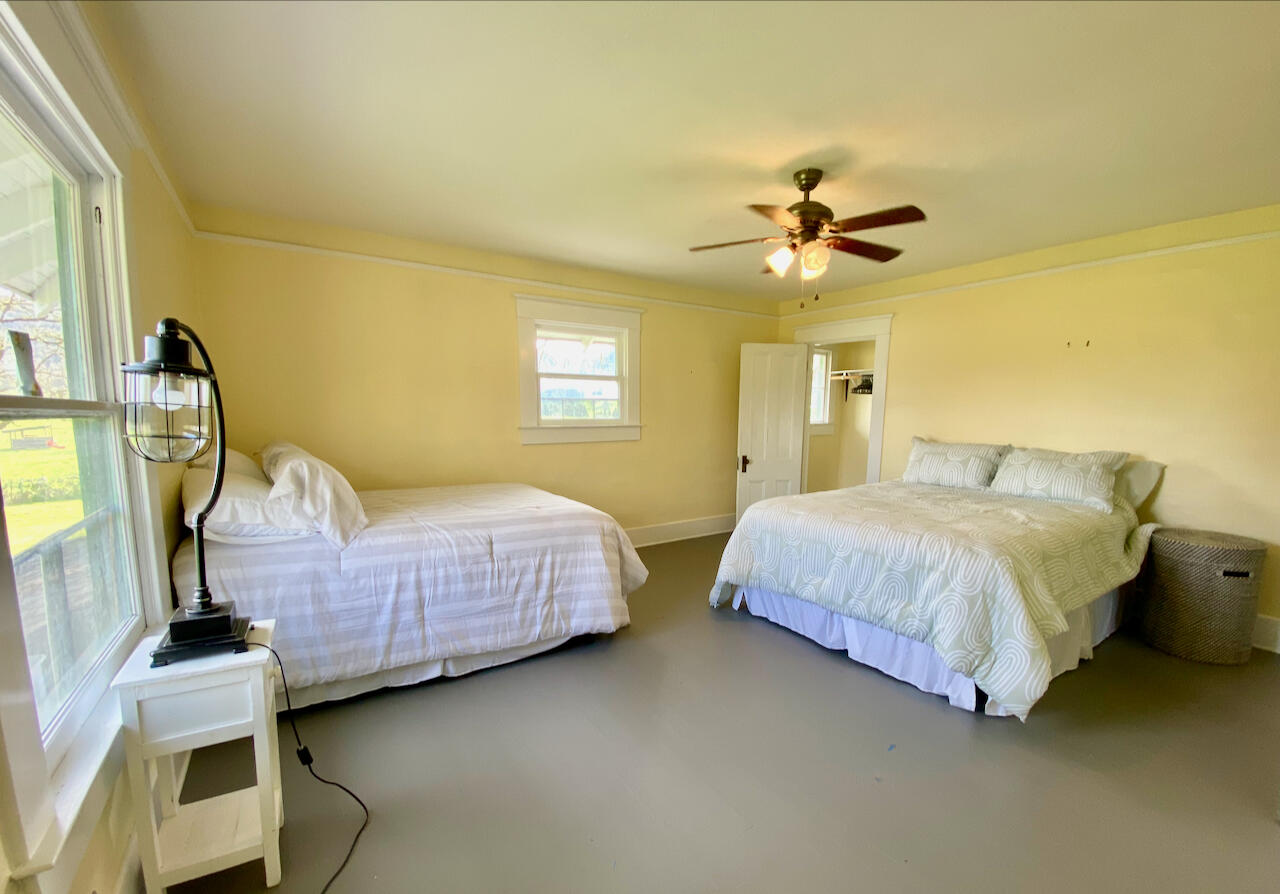 Looking Glass - Farm