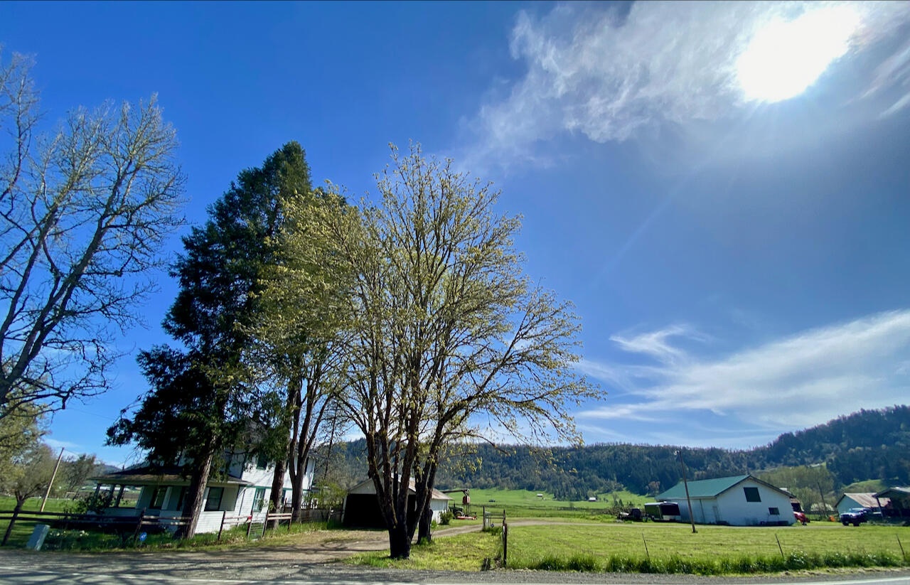 Looking Glass - Farm