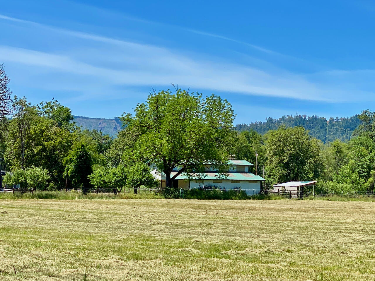 Looking Glass - Farm