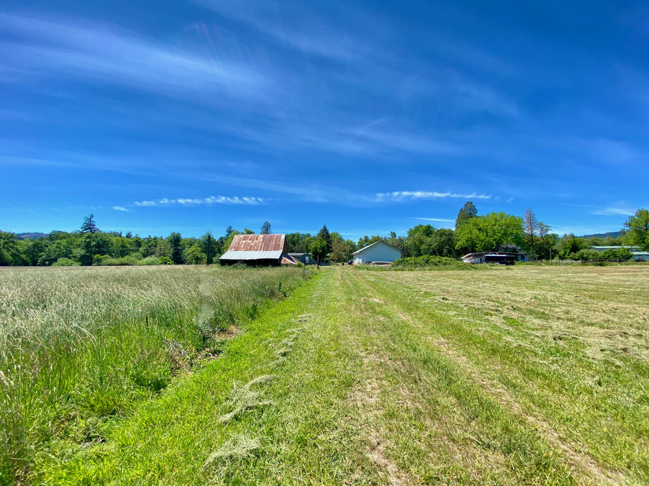 Looking Glass - Farm