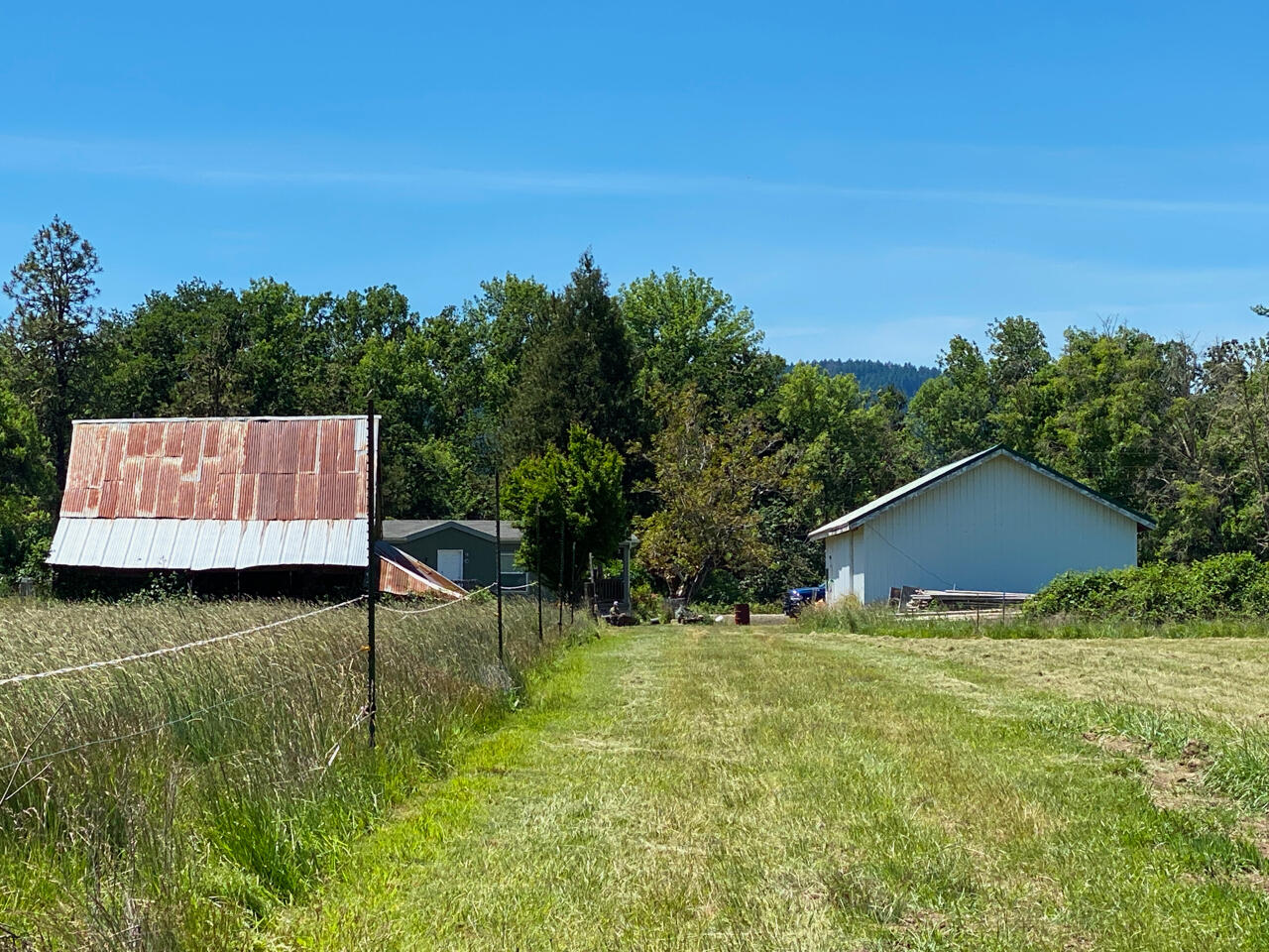 Looking Glass - Farm