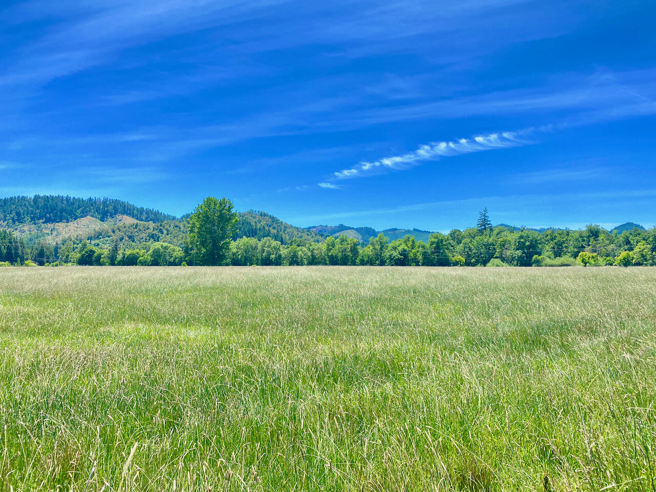 Looking Glass - Farm