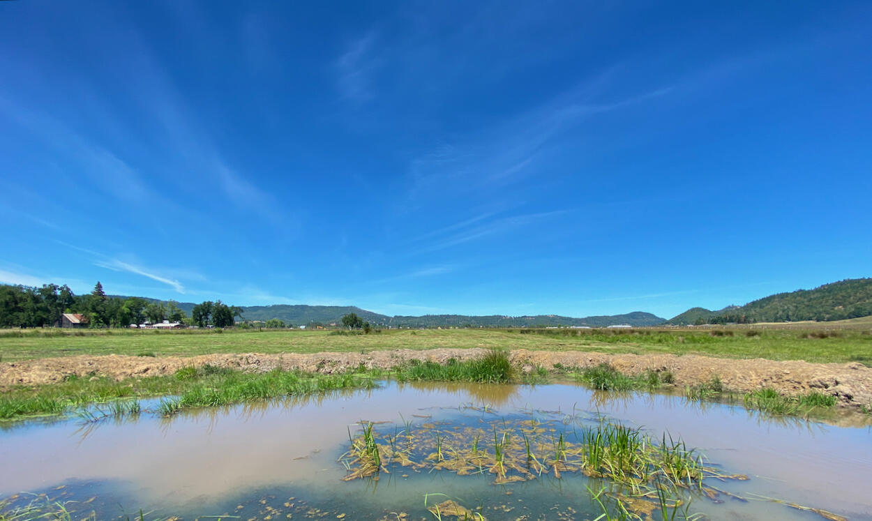 Looking Glass - Farm