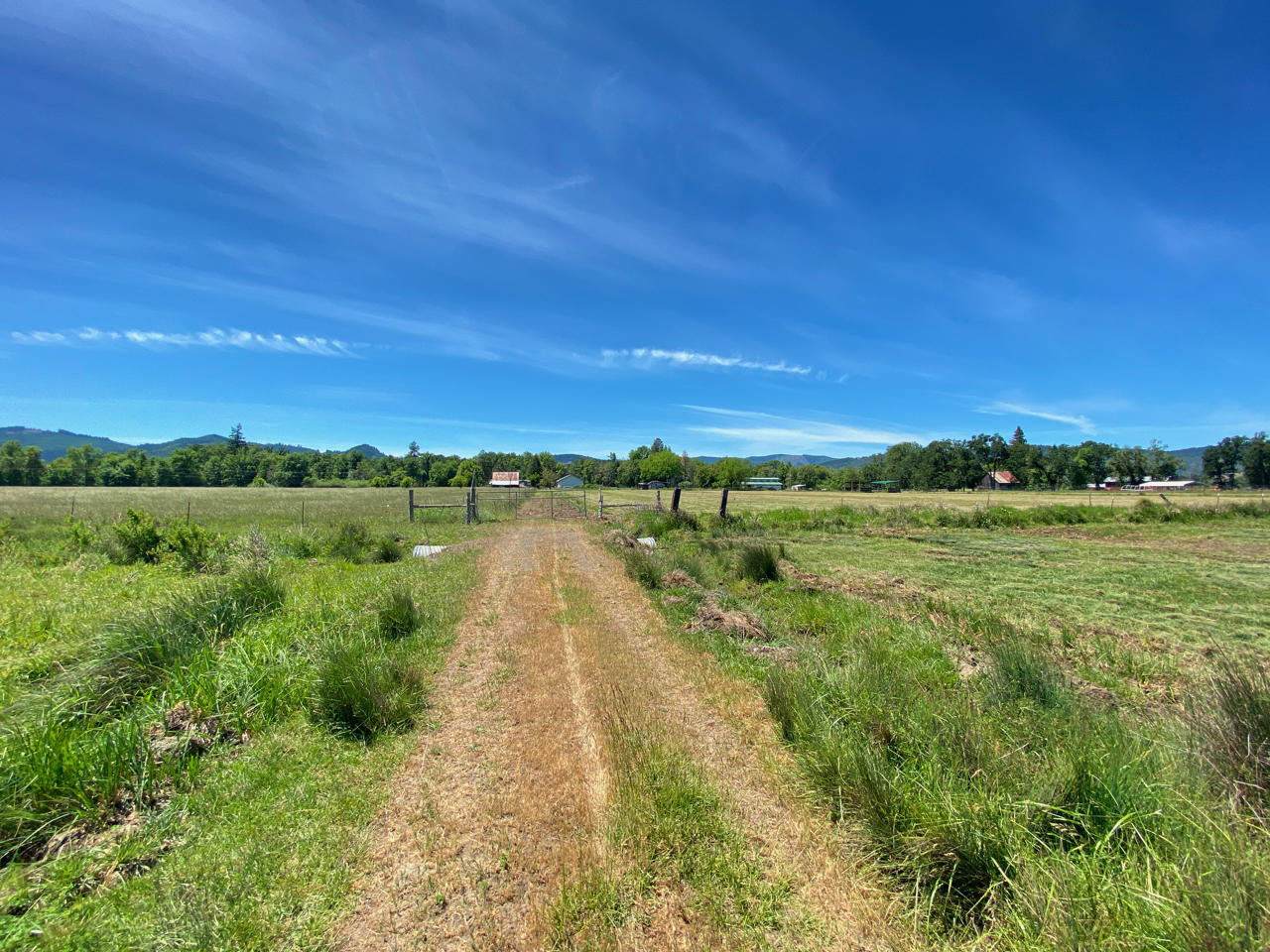 Looking Glass - Farm