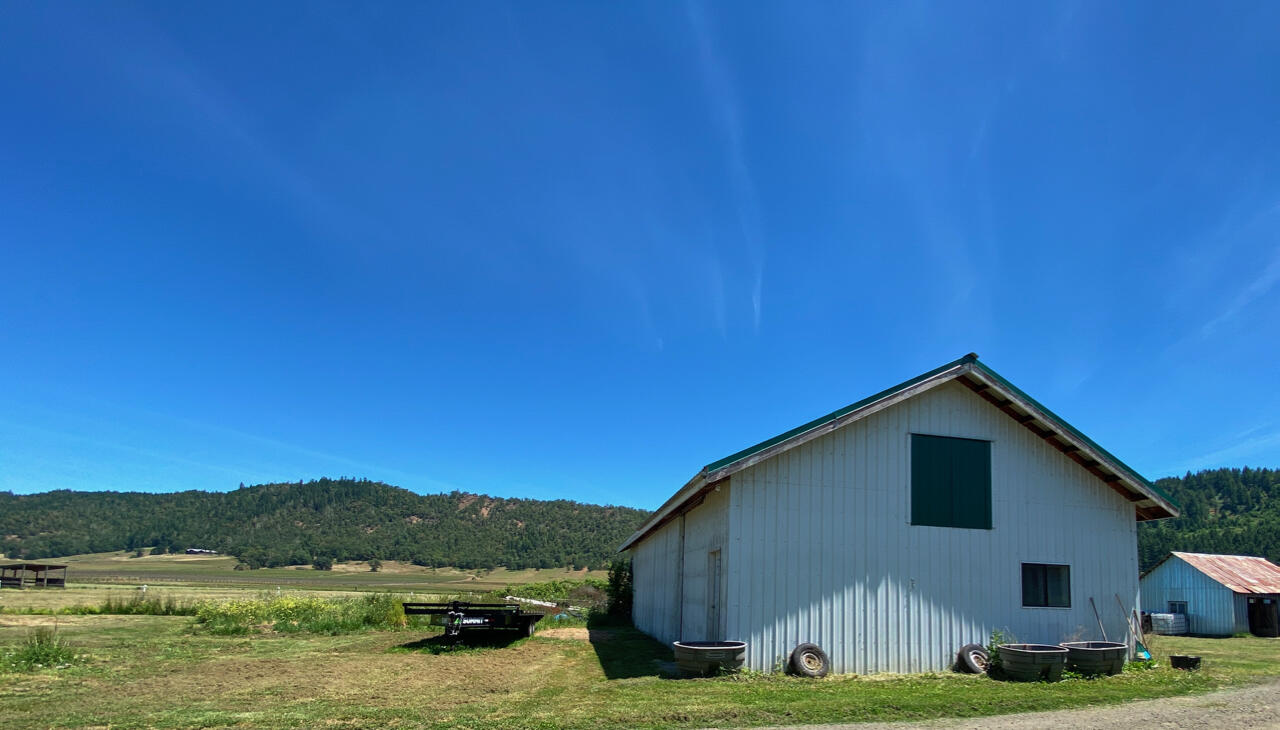 Looking Glass - Farm