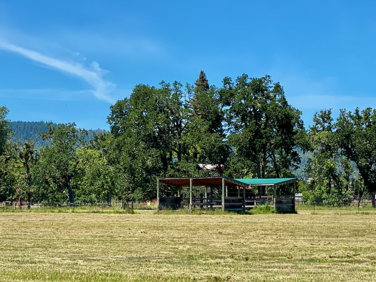 Looking Glass - Farm