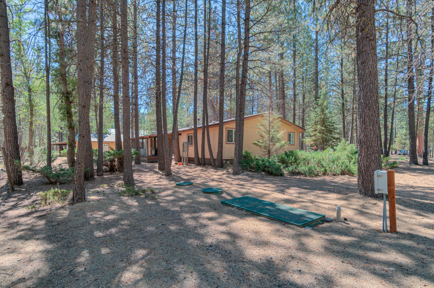 Ponderosa Pines - Residential
