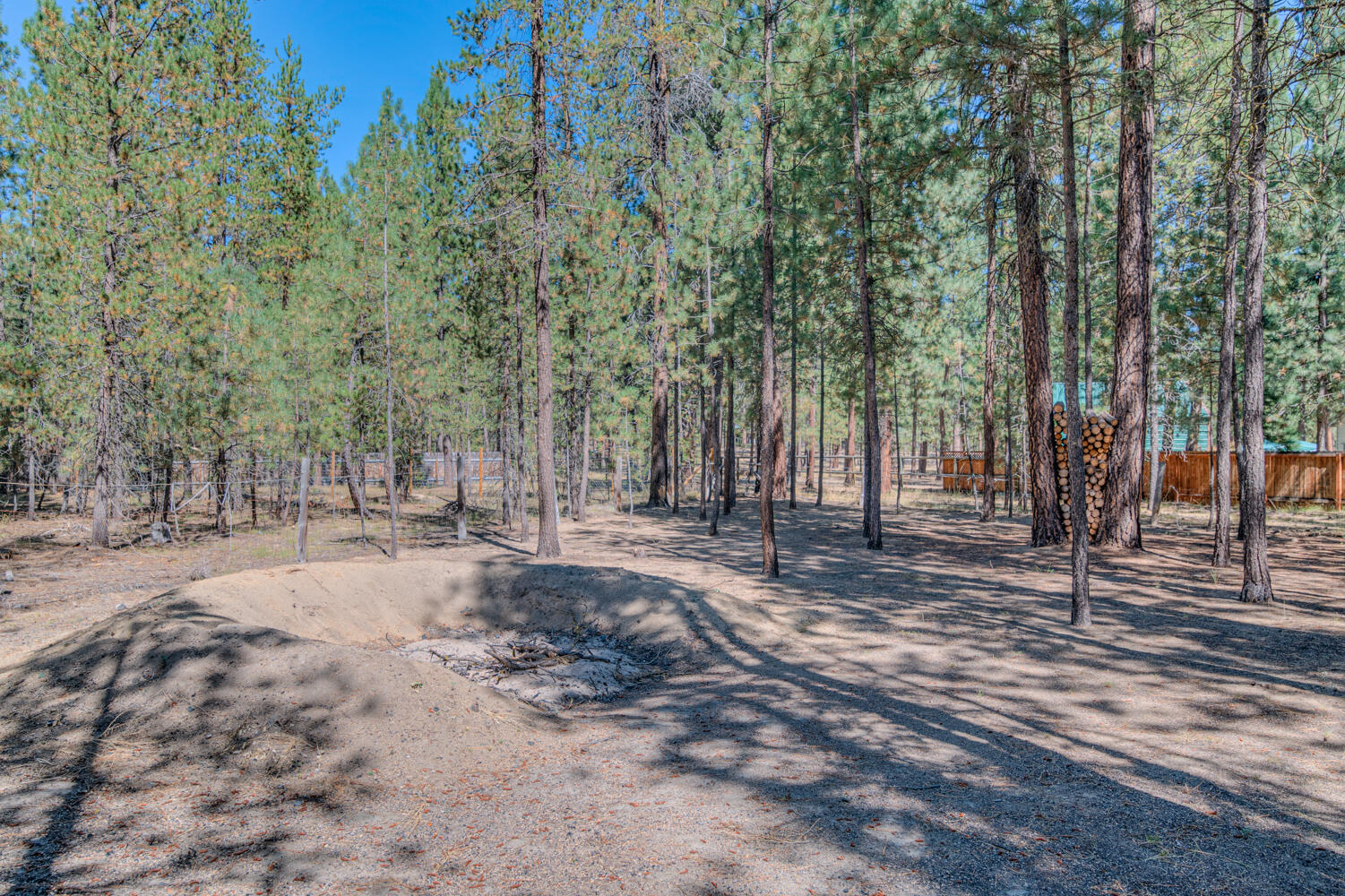 Ponderosa Pines - Residential