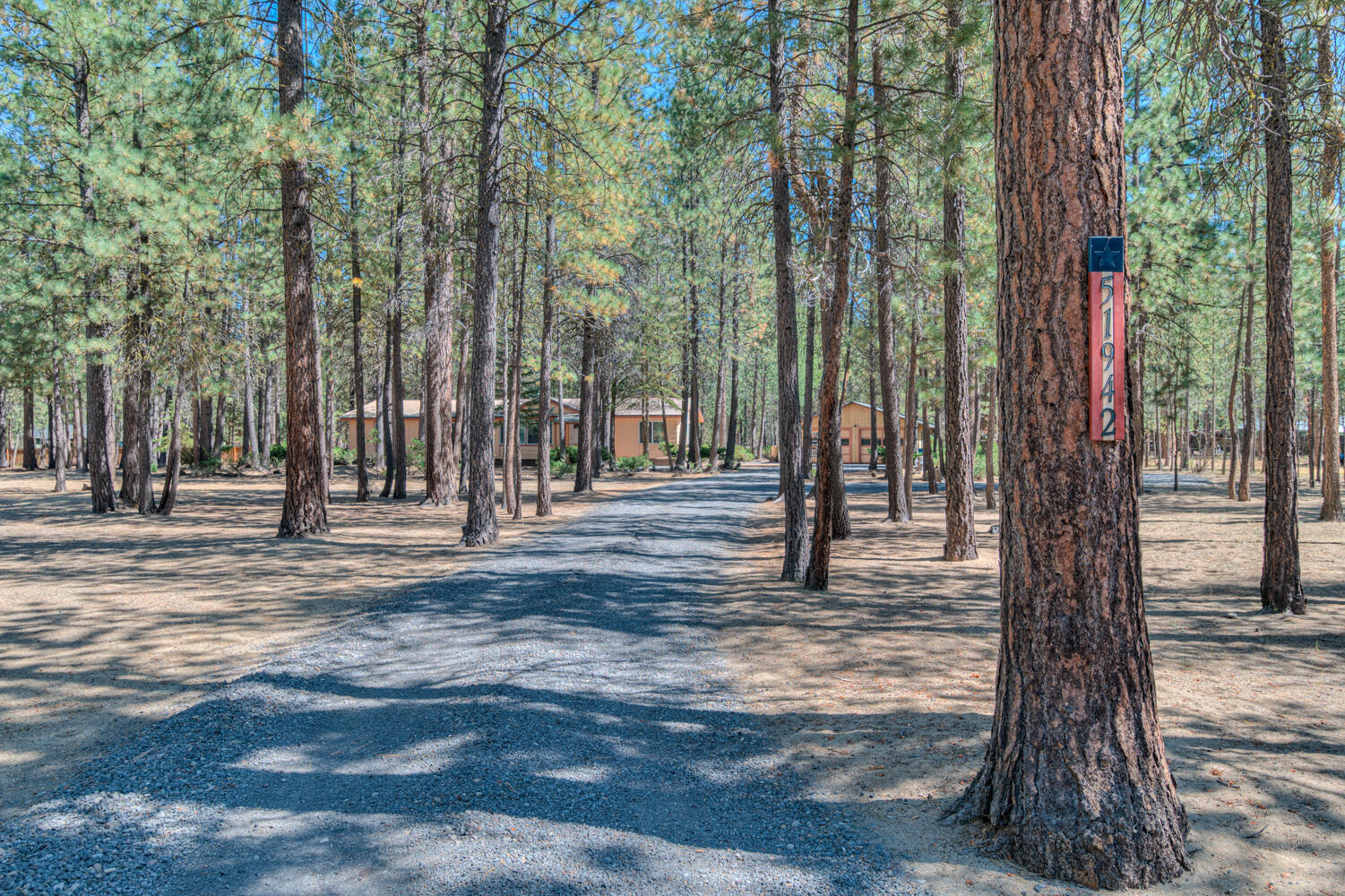 Ponderosa Pines - Residential