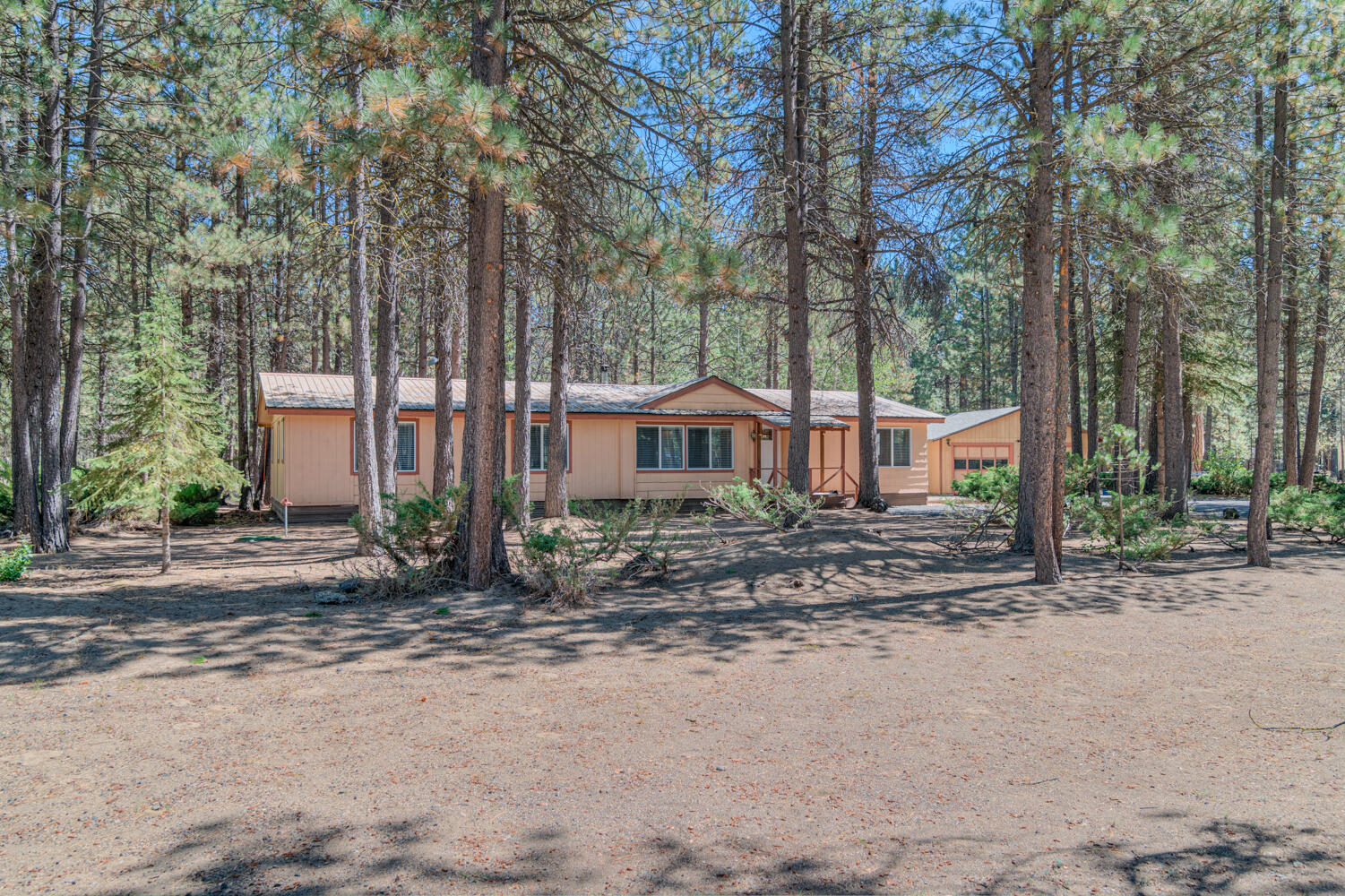 Ponderosa Pines - Residential