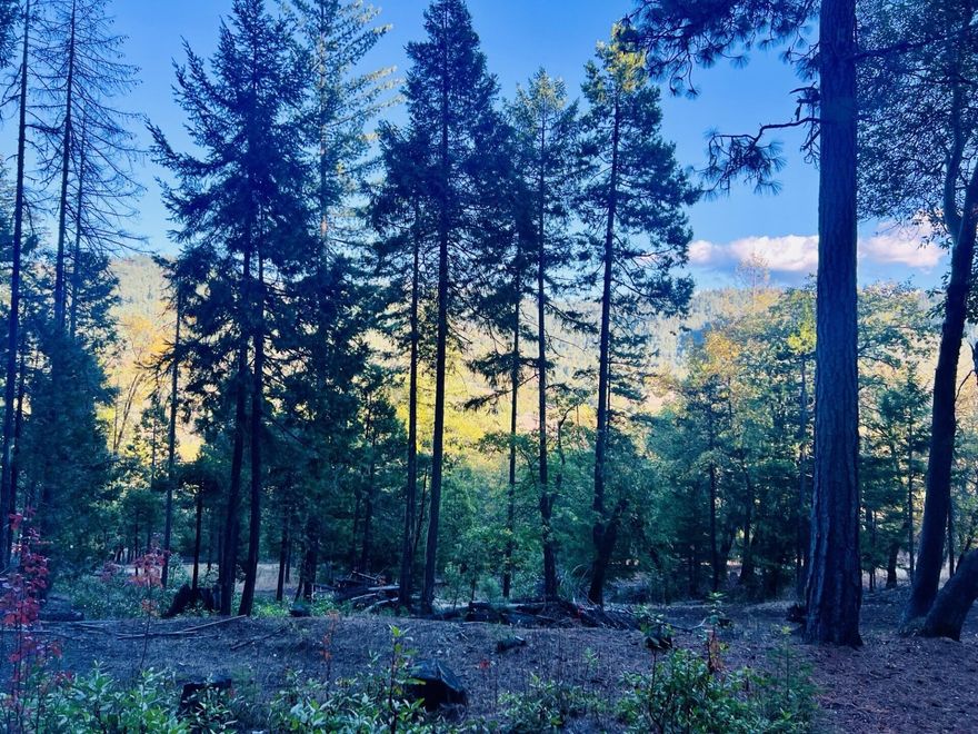 Looking for a peaceful setting to build your dream home? Wonderful, wooded property with cedar, ponderosa, pine oak, and madrone trees. Backs up to BLM. Homesite is set up at the top with beautiful views. Come build your dream home. Homesite has been grandfathered in and runs with the property, septic approval per seller.