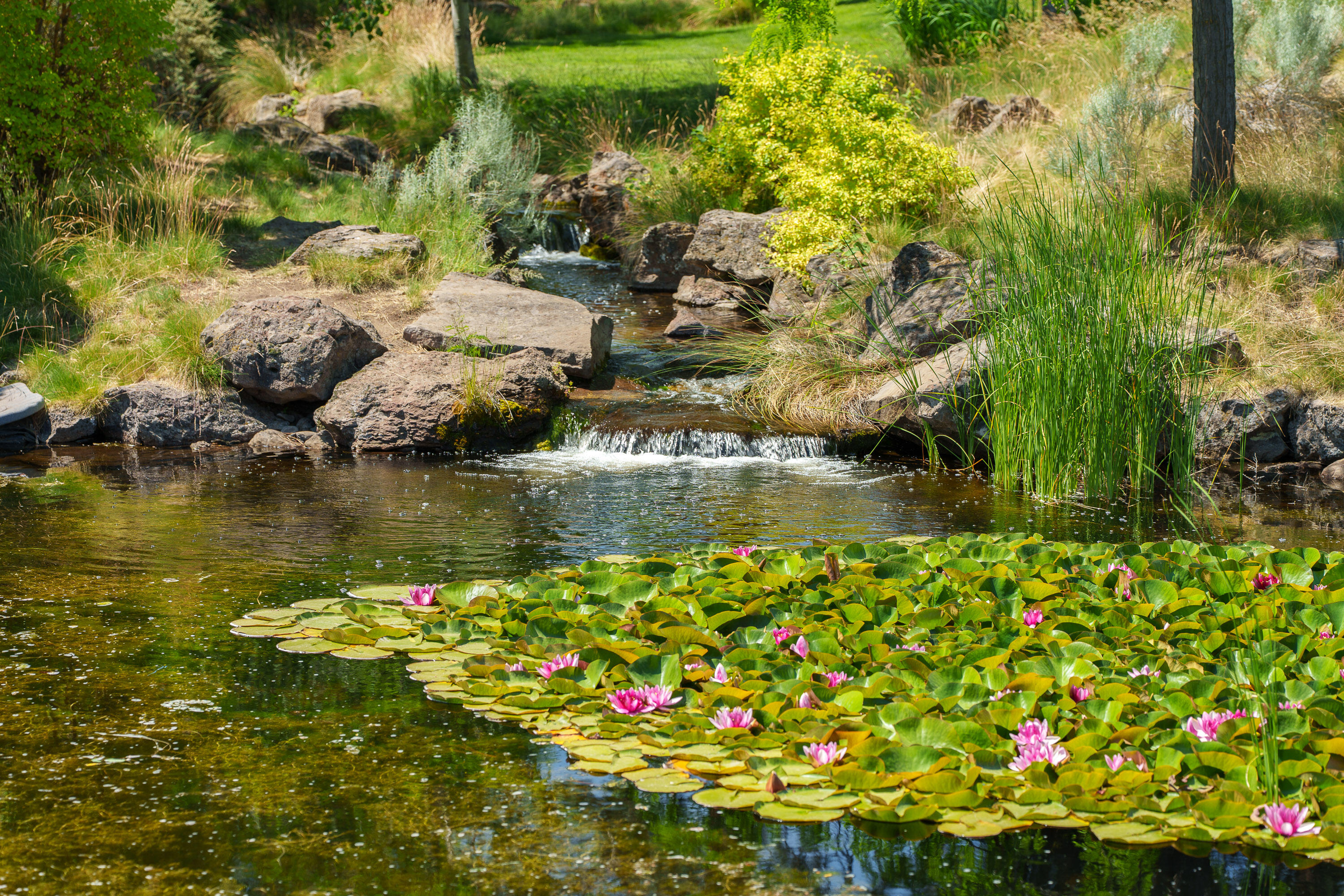 The Bridges - Residential