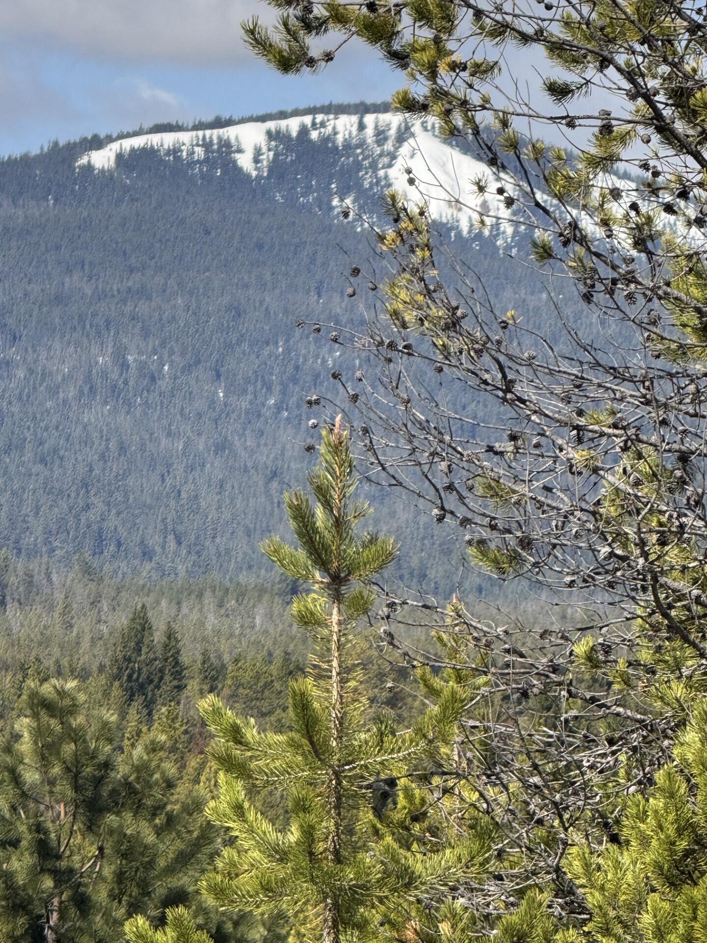 Diamond Peaks - Land