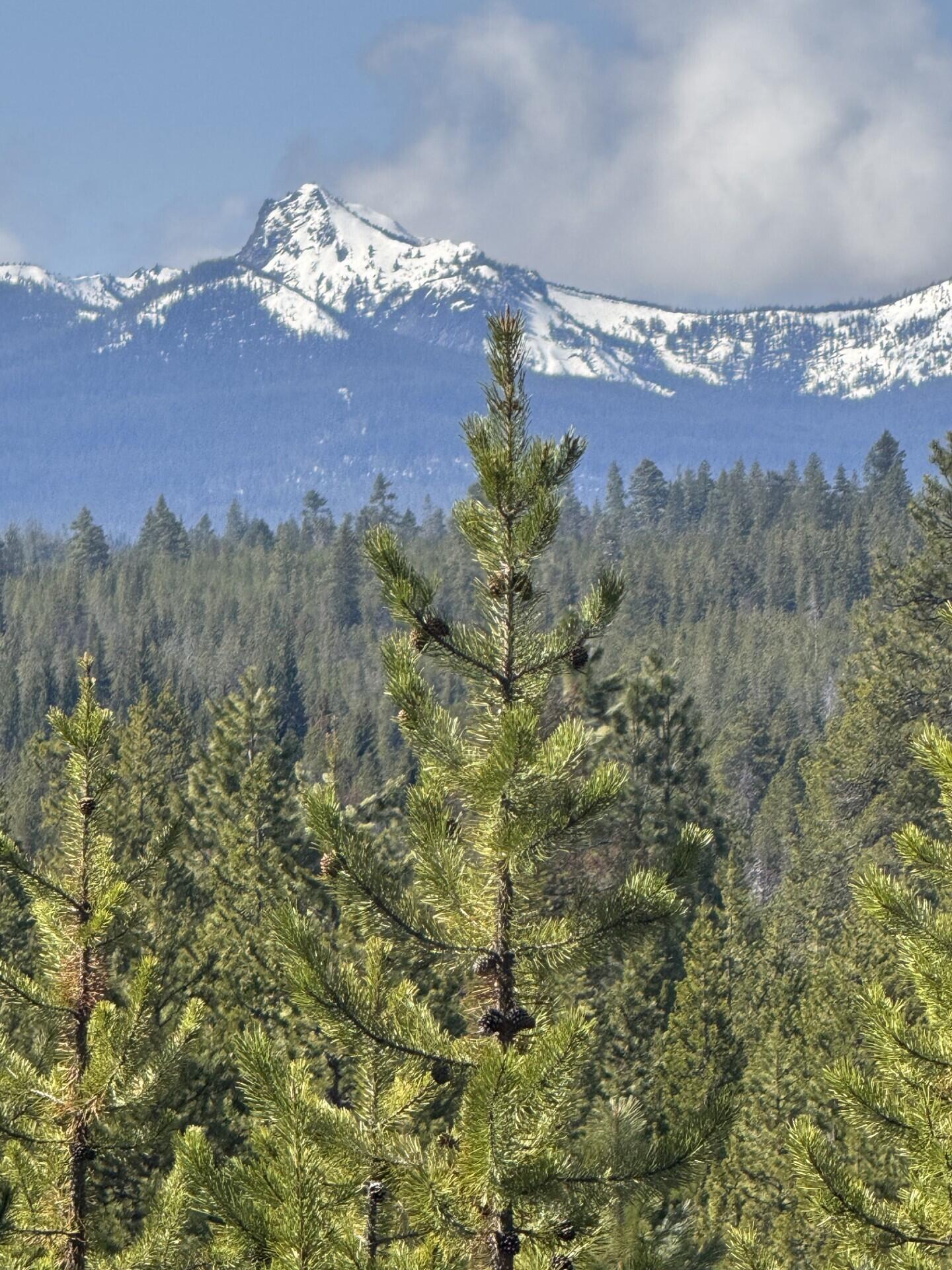 Diamond Peaks - Land