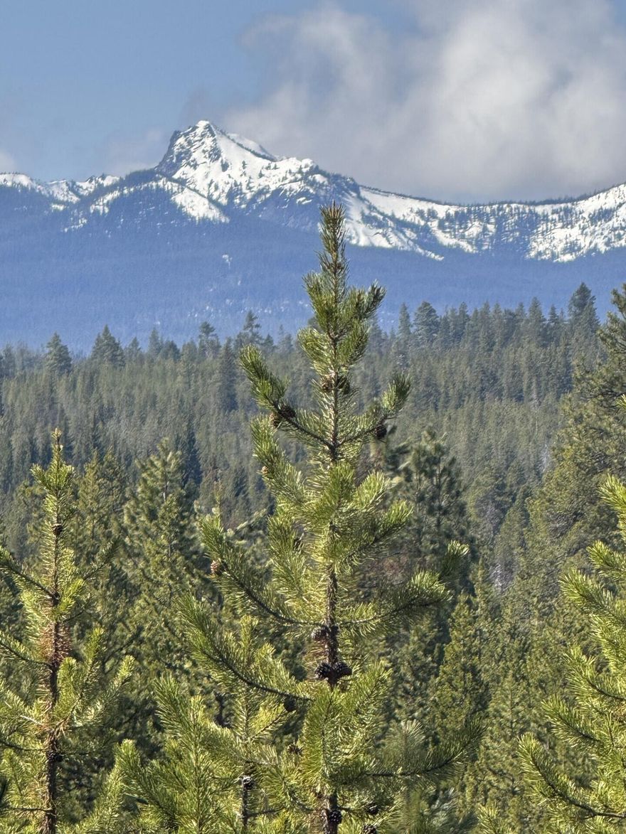 Located in the Highly desirable Diamond Peaks Subdivision. This 1.06 acre lot has amazing views of the Cascade Mountains. Build your dream home or your cabin in the Mountains. Diamond Peaks offer maintained roads all year, community water, and electric at the street. You will be just a few short minutes to Crescent and Odell Lakes, Willamette Pass Ski Resort  and numerous other mountain lakes. Enjoy hiking, biking, Snow mobile and ATV riding right from your property.