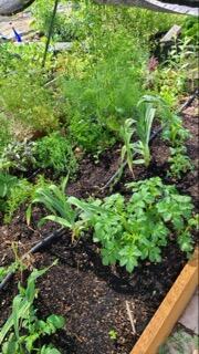 Metolius - Residential