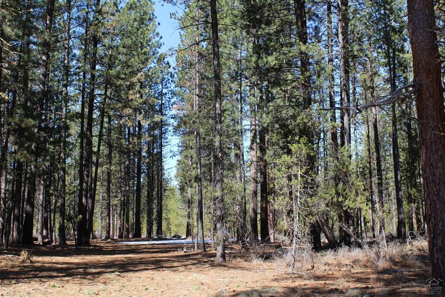 Little Deschutes Riverfront 1.87 acre lot, located in Little River Ranch. Beautiful treed lot on a Cul-De-Sac with private well, ready for you to enjoy. Create your dream to live or play in Central Oregon with abundant outdoor activities just outside your door. Who wouldn't enjoy living next to the river on this picturesque setting.