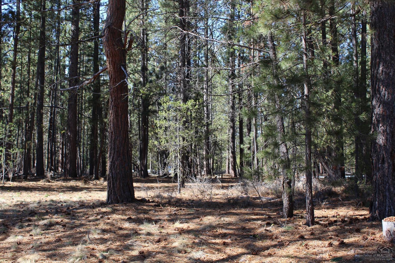 Little River Ranch - Land