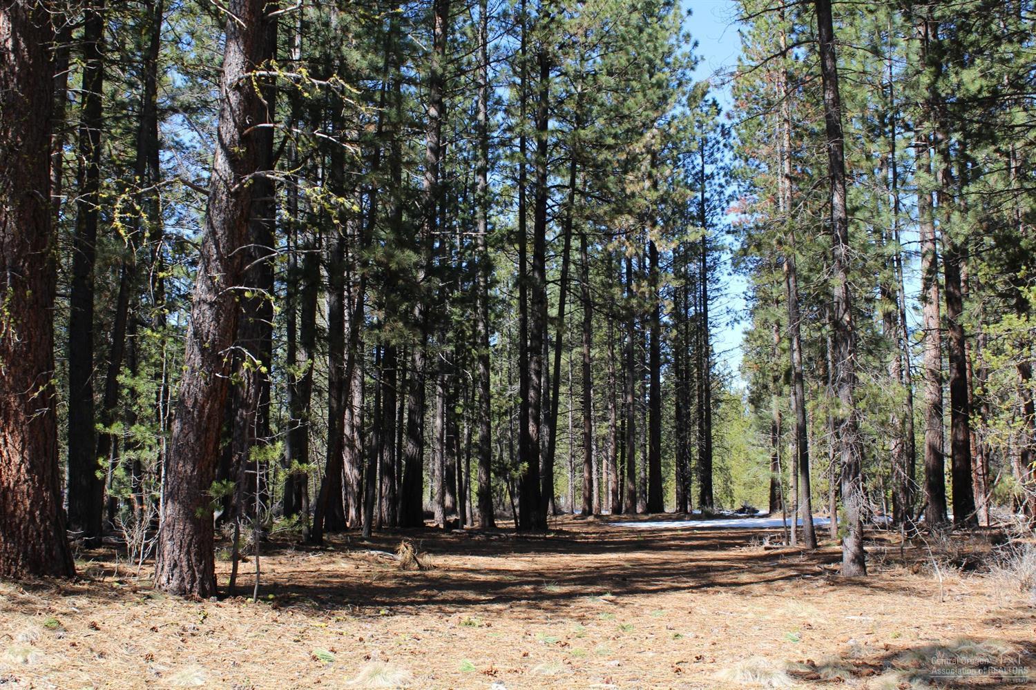 Little River Ranch - Land